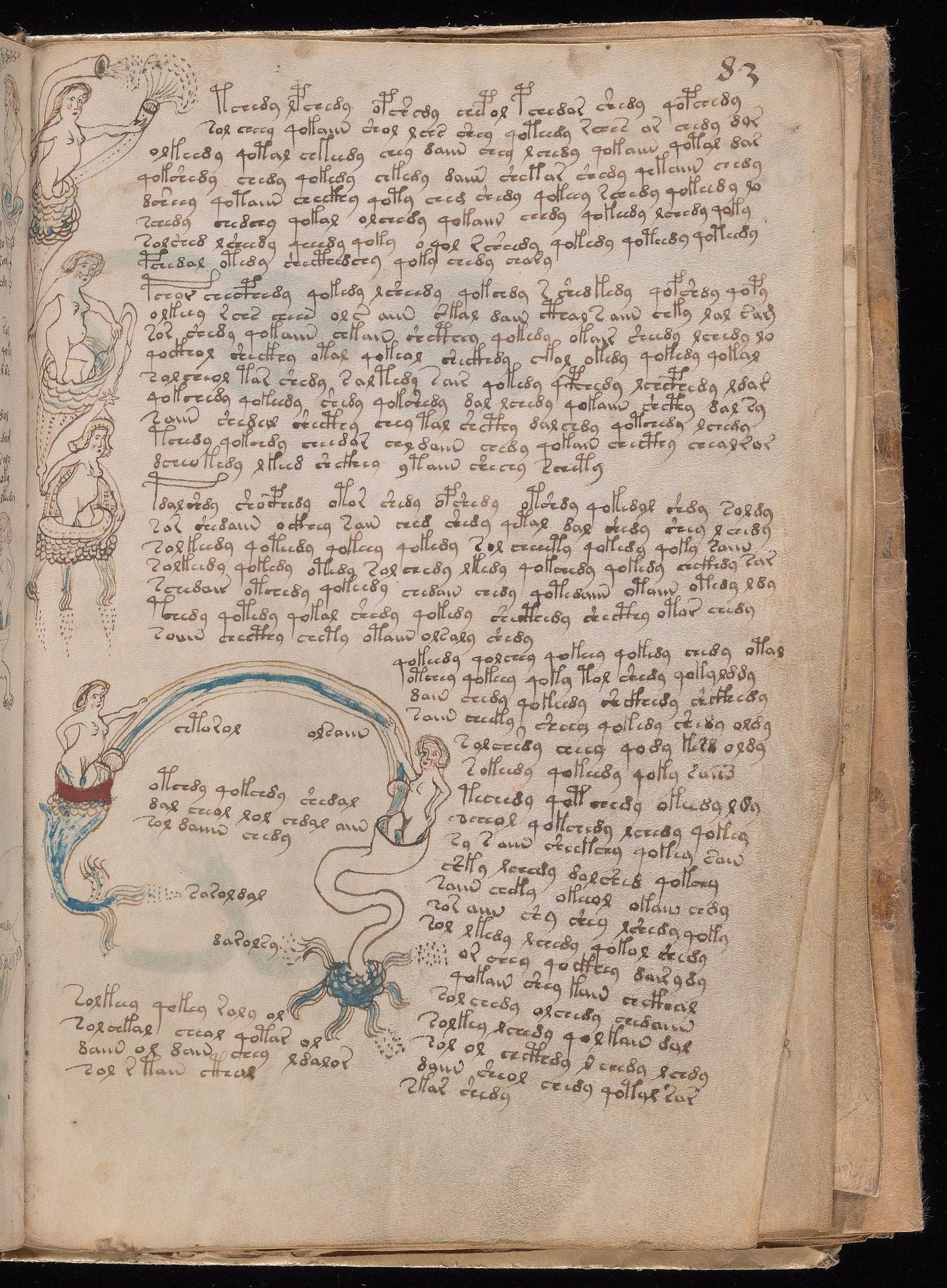 Voynich Manuscript folio f83r — Beinecke MS 408